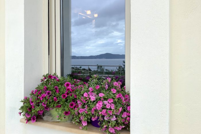 limonari-bay-private-villas-2-meganisi-lefkada-flowers-window